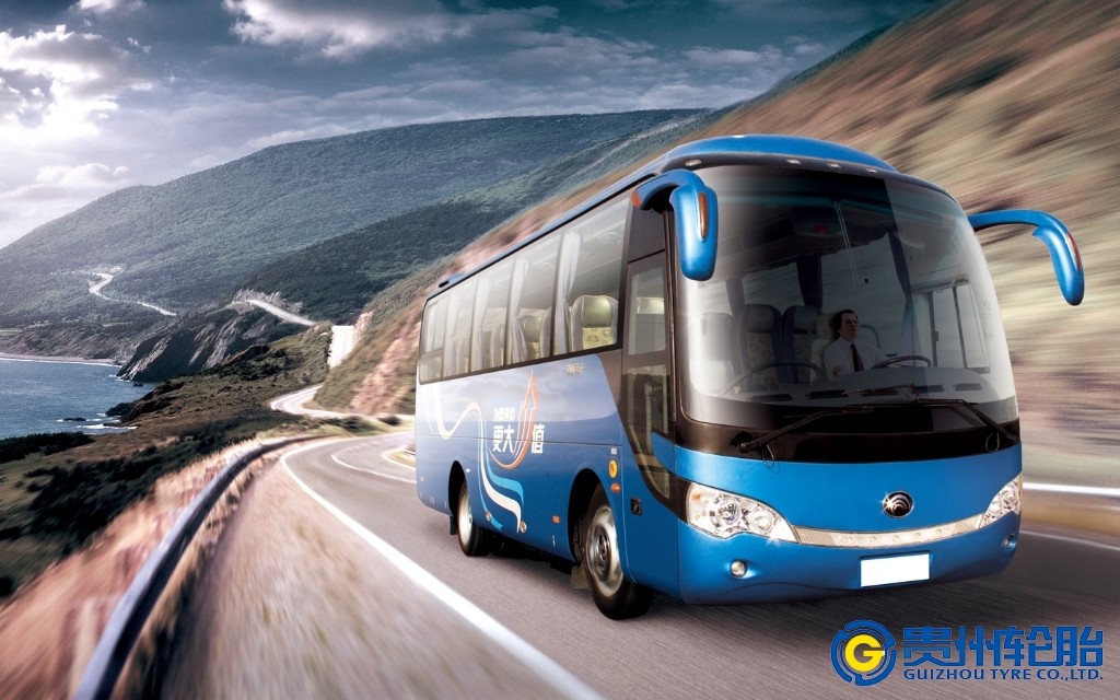 ���ͳ�allwincity�����