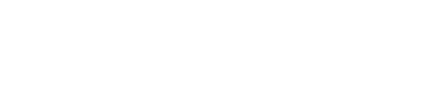 ����ʿ